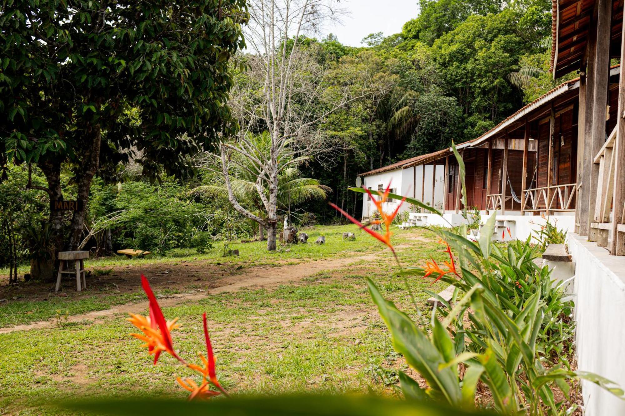 Aldeia Mari-Mari Amazon Lodge Presidente Figueiredo Esterno foto