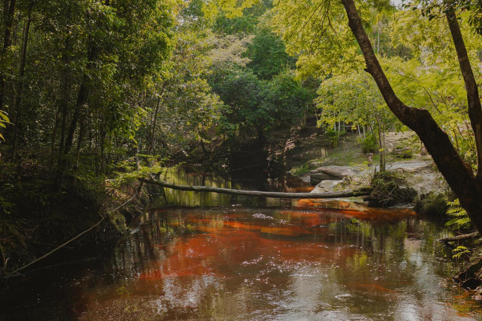 Aldeia Mari-Mari Amazon Lodge Presidente Figueiredo Esterno foto