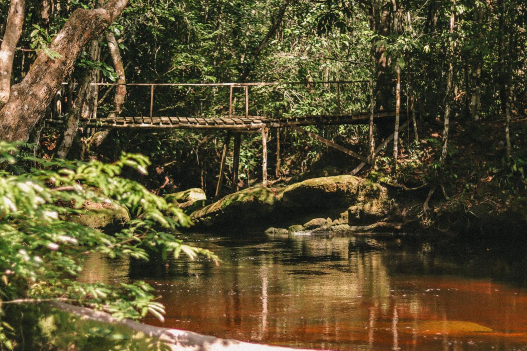 Aldeia Mari-Mari Amazon Lodge Presidente Figueiredo Esterno foto